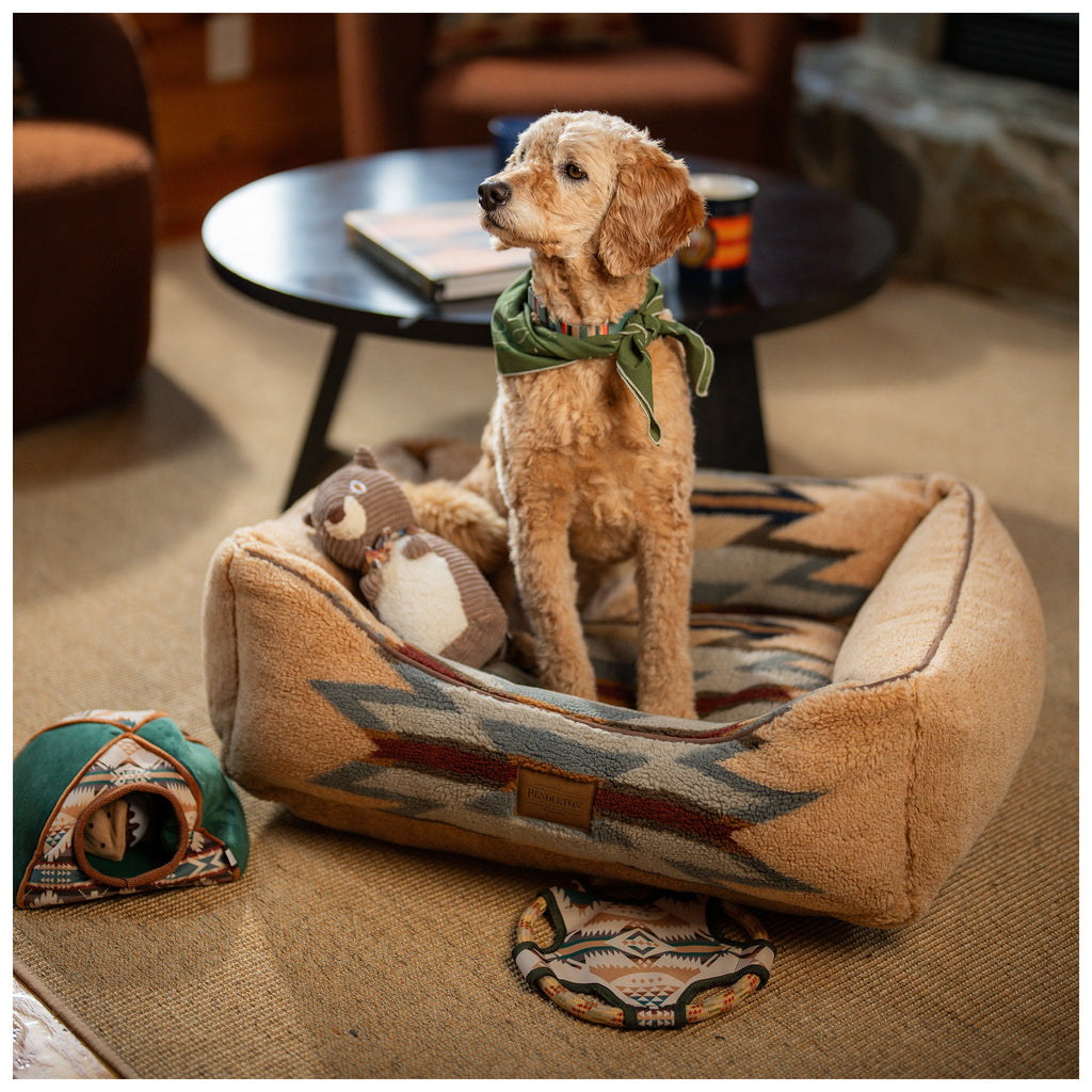 Pendleton Camp Discovery Tent Set Dog Plush Toy