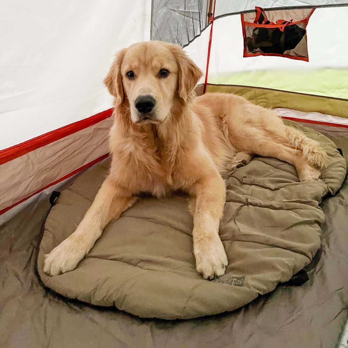 Bed in a Bag
