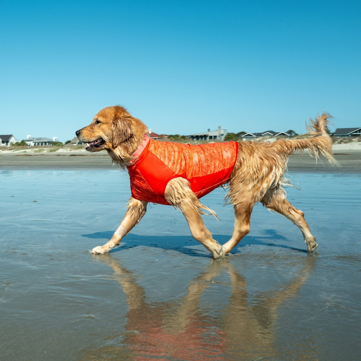 Body Glove Crystal Cool Pet Cooling Shirt