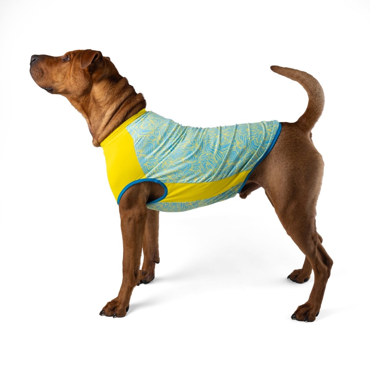 Body Glove Crystal Cool Pet Cooling Shirt