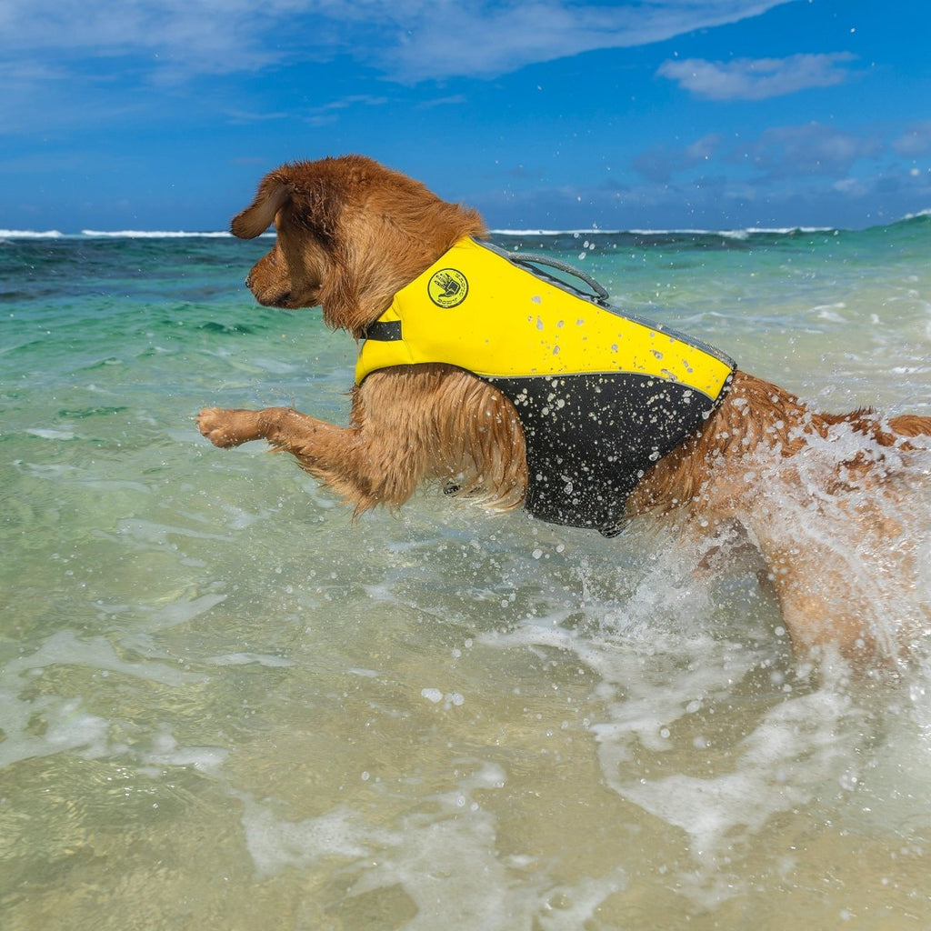 Body Glove Neoprene Pet Life Jacket