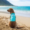 Body Glove Pet Sun Shirt