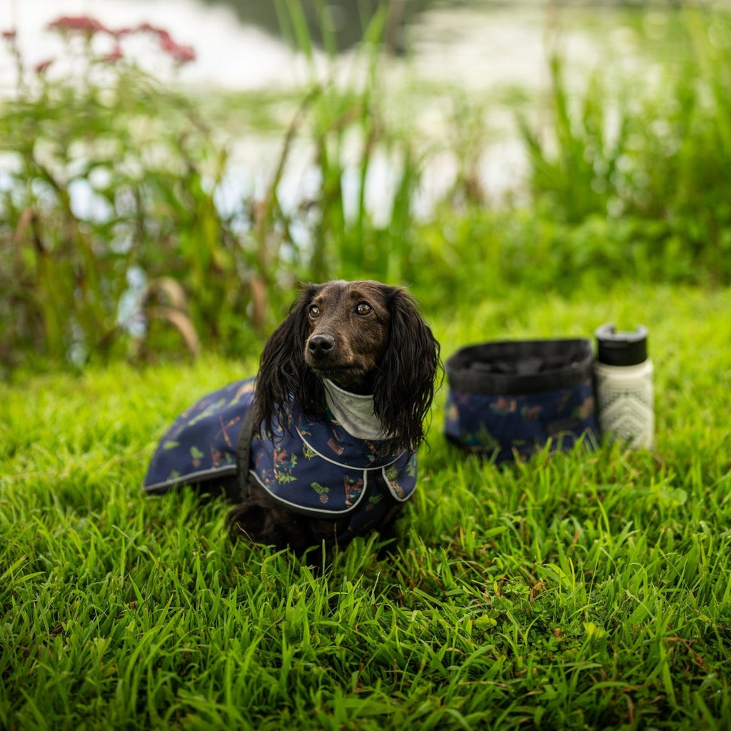 Pendleton Adventure Bundle: Camping Essentials