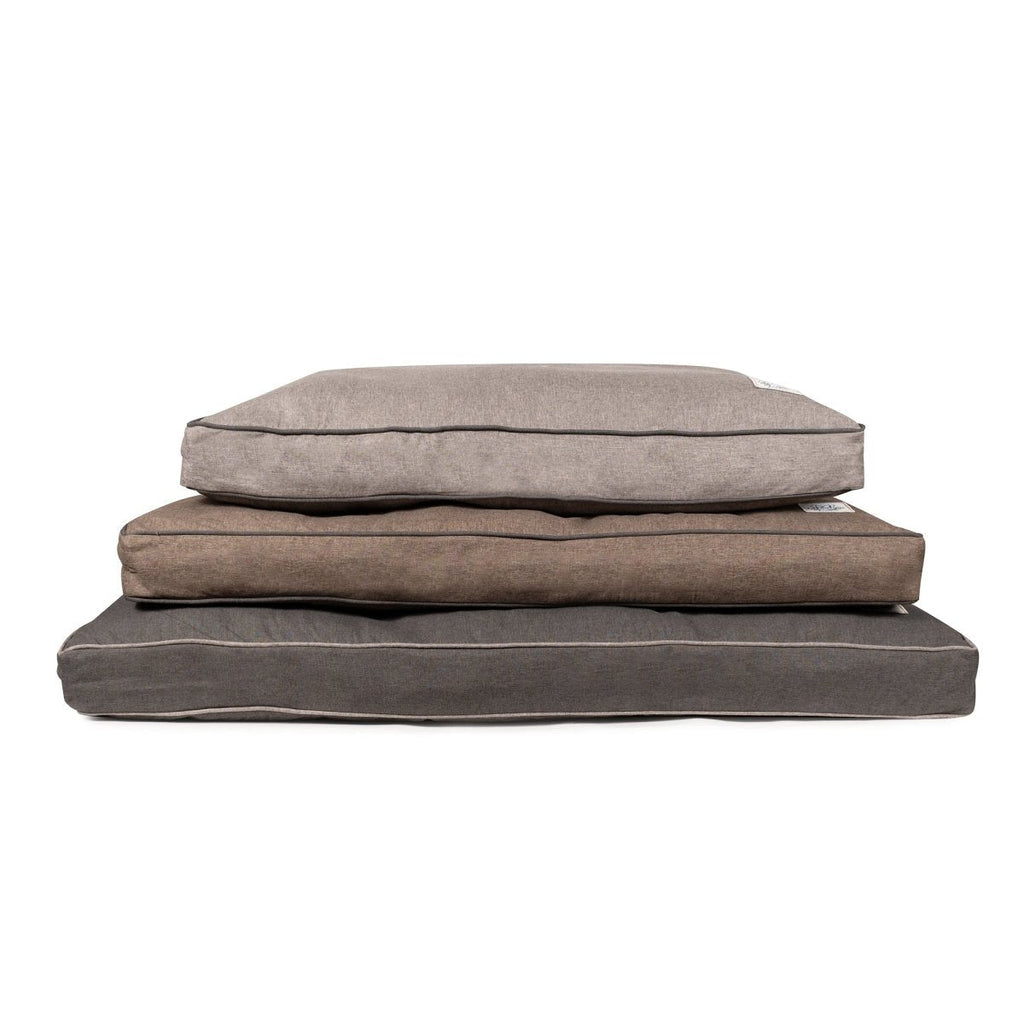 GreenDog EcoFriendly essentials bundle