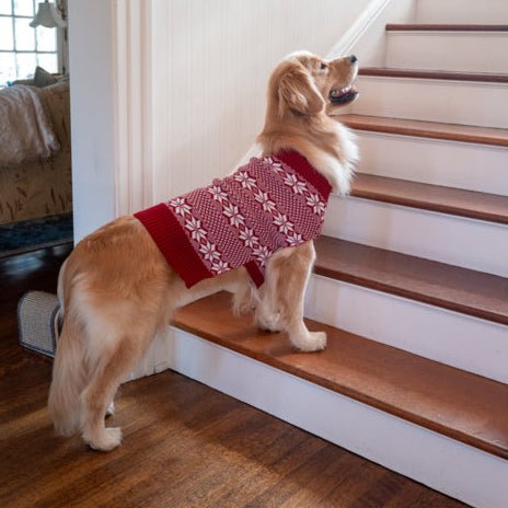 Fair Isle Knit Pet Sweater