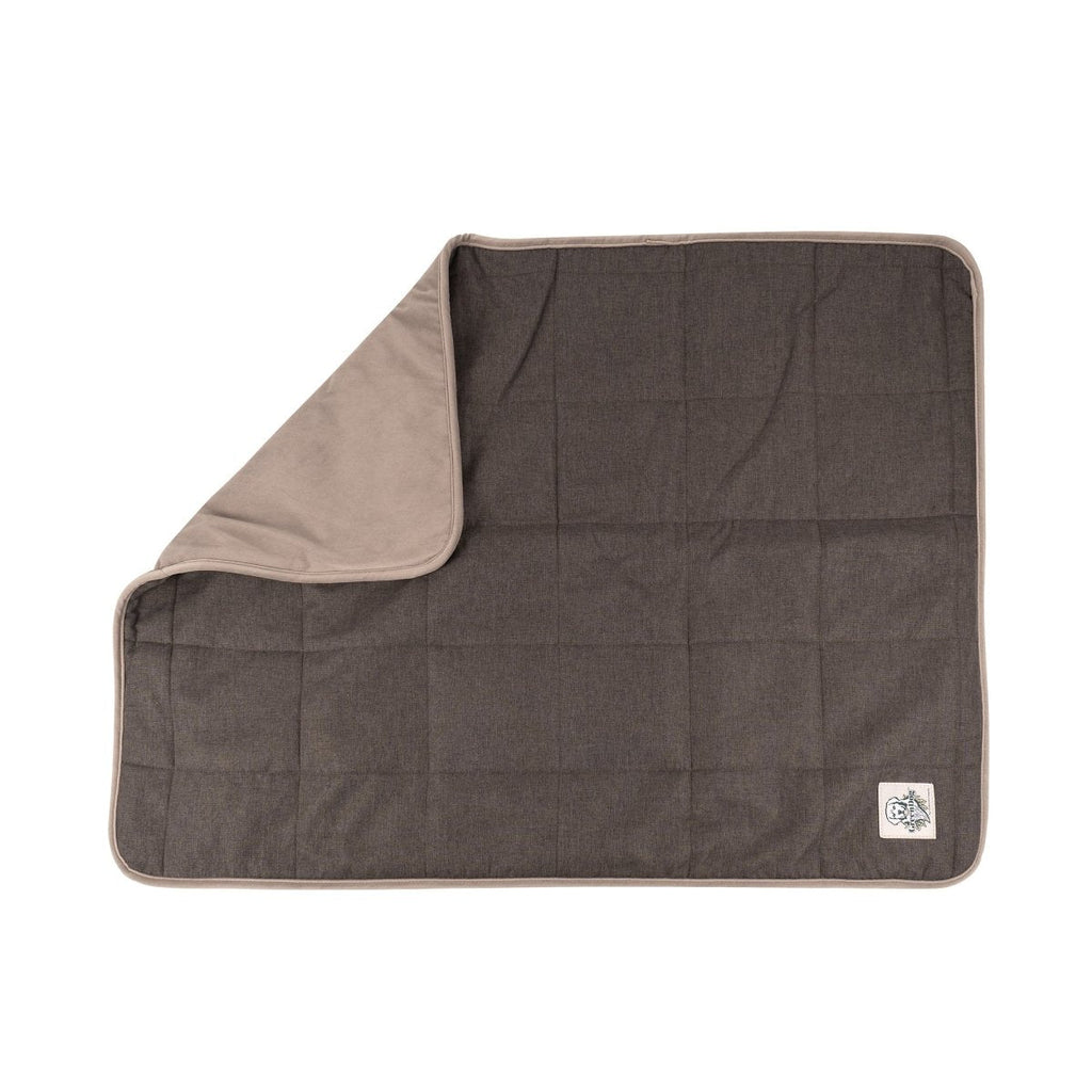 GreenDog EcoFriendly essentials bundle