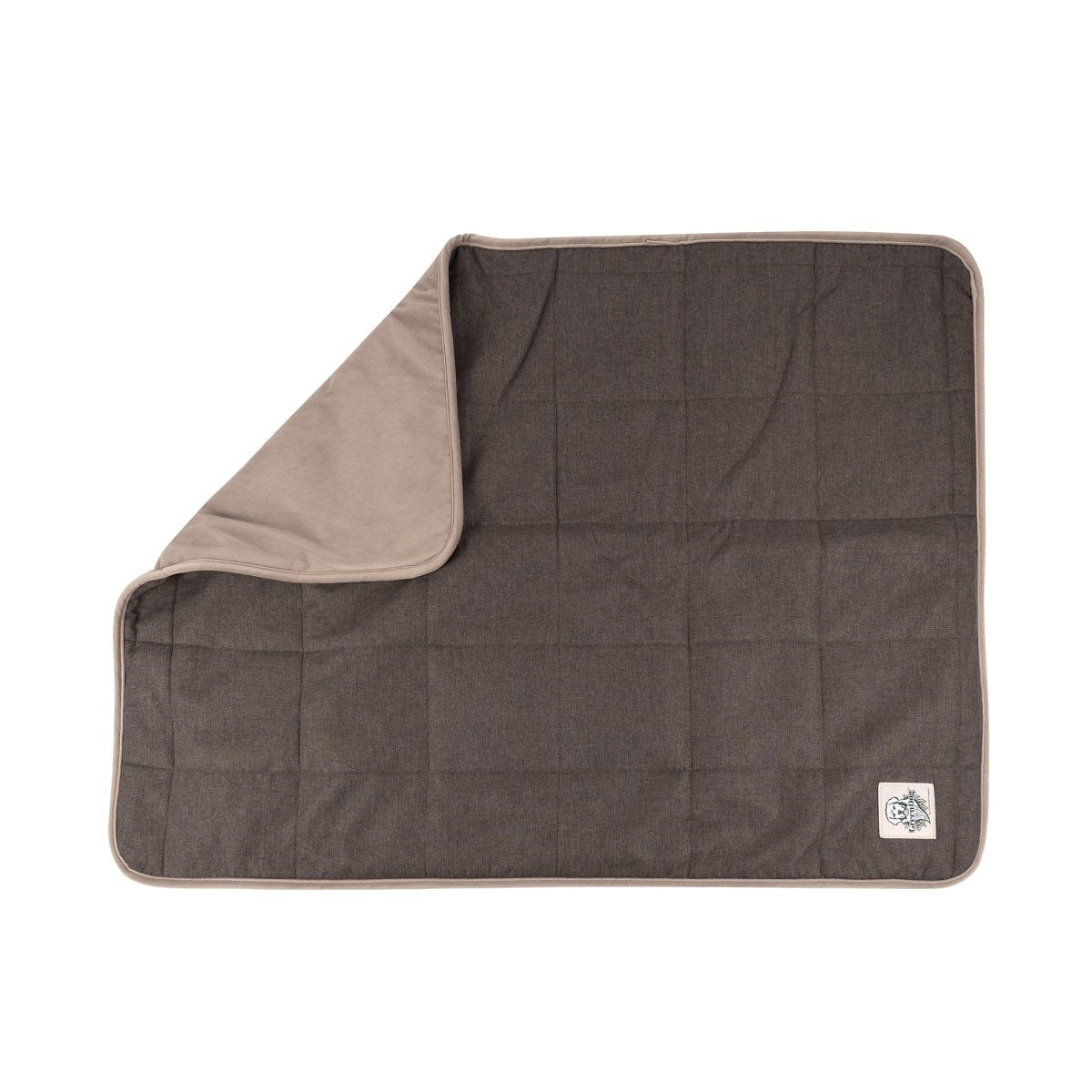 GreenDog EcoFriendly essentials bundle