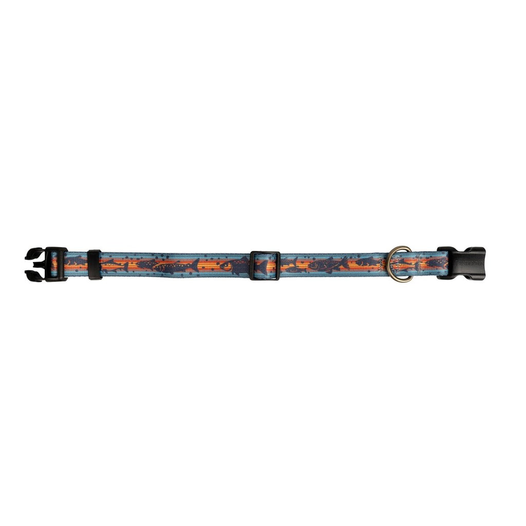Pendleton Adventure Collar