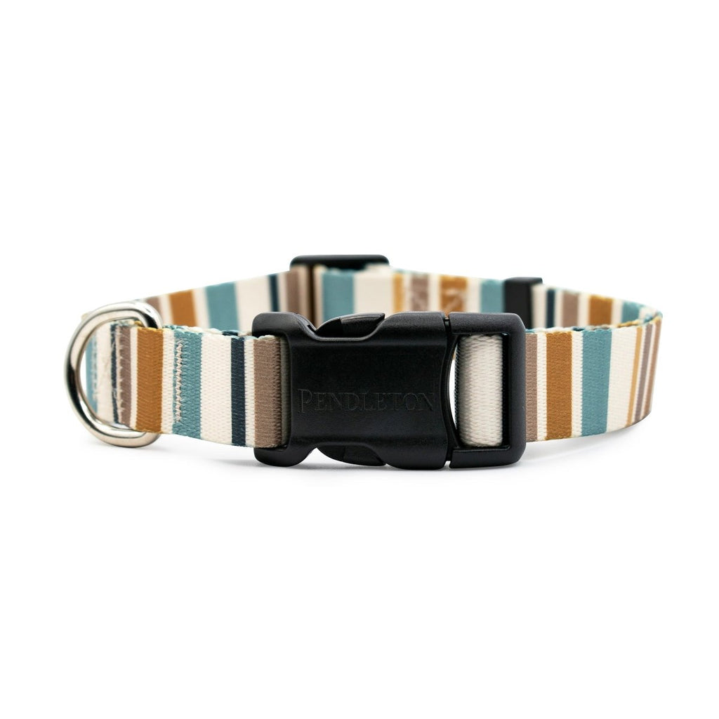 Pendleton Camp Stripe Collar
