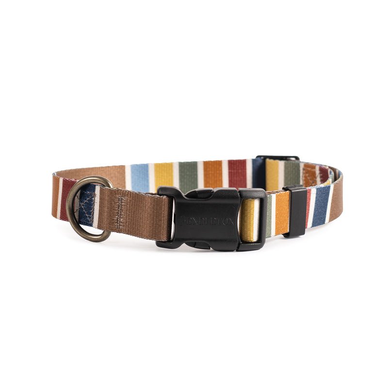 Pendleton National Park Adventure Dog Collar