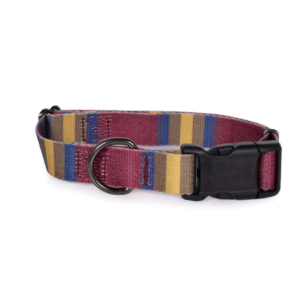 Pendleton National Park Adventure Dog Collar