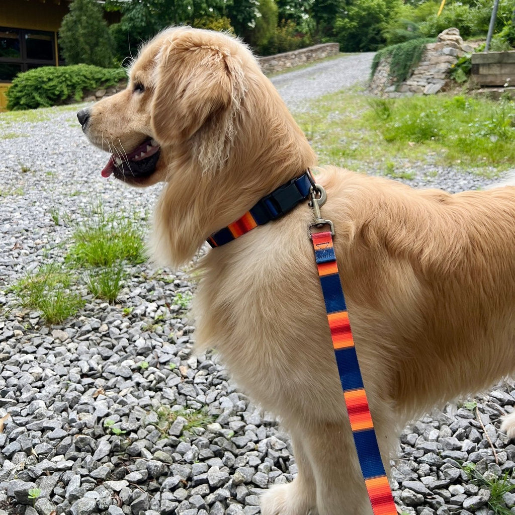 Pendleton National Park Adventure Dog Collar