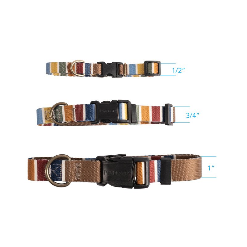 Pendleton National Park Adventure Dog Collar