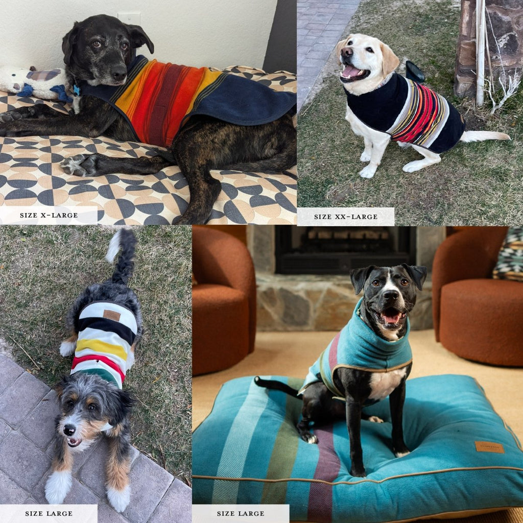 Pendleton National Park Dog Vest