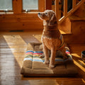 Pendleton National Park Dog Vest