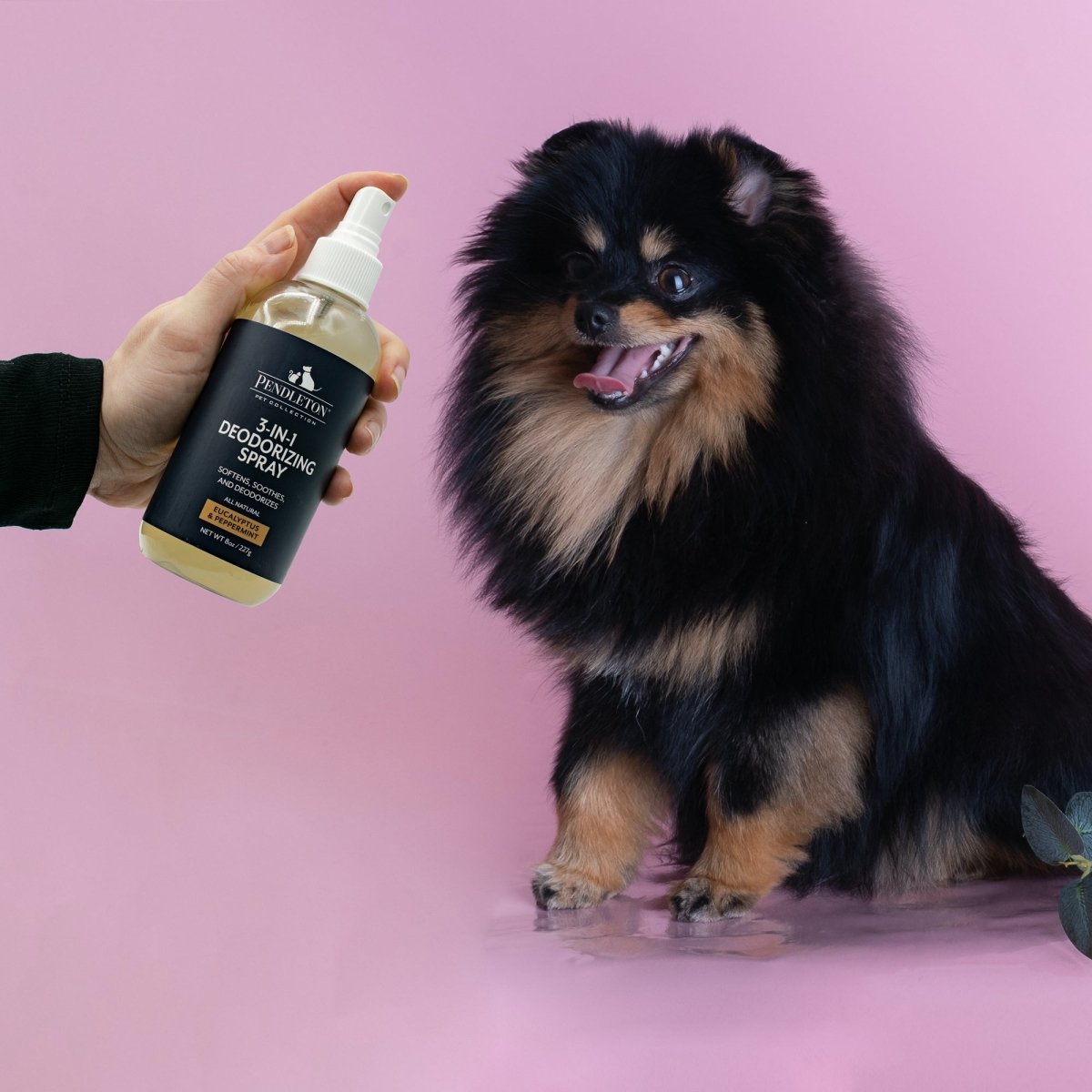 Pendleton Pet 3 in 1 Deodorizer