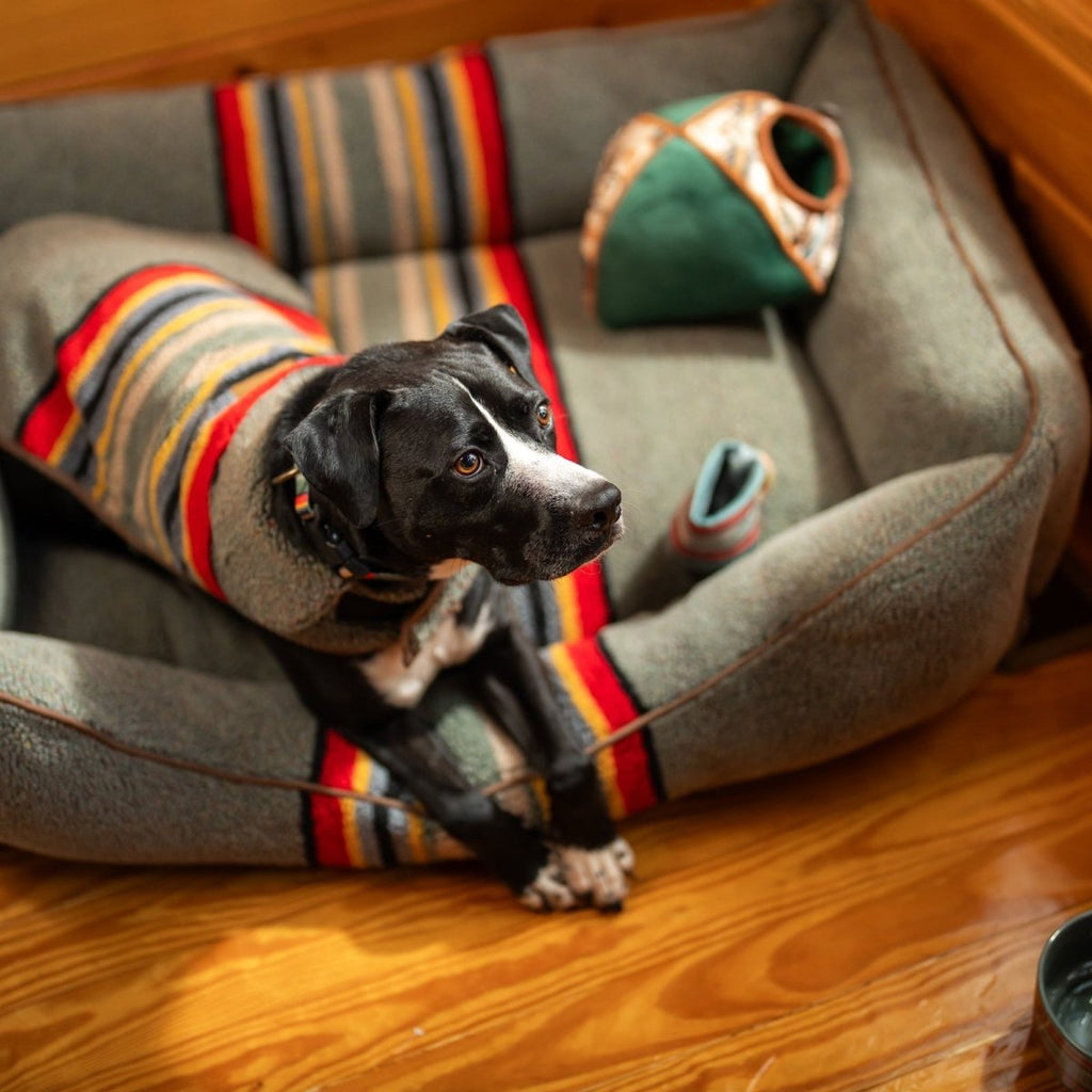 Pendleton Vintage Camp Bundle