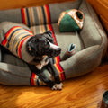 Pendleton Vintage Camp Bundle