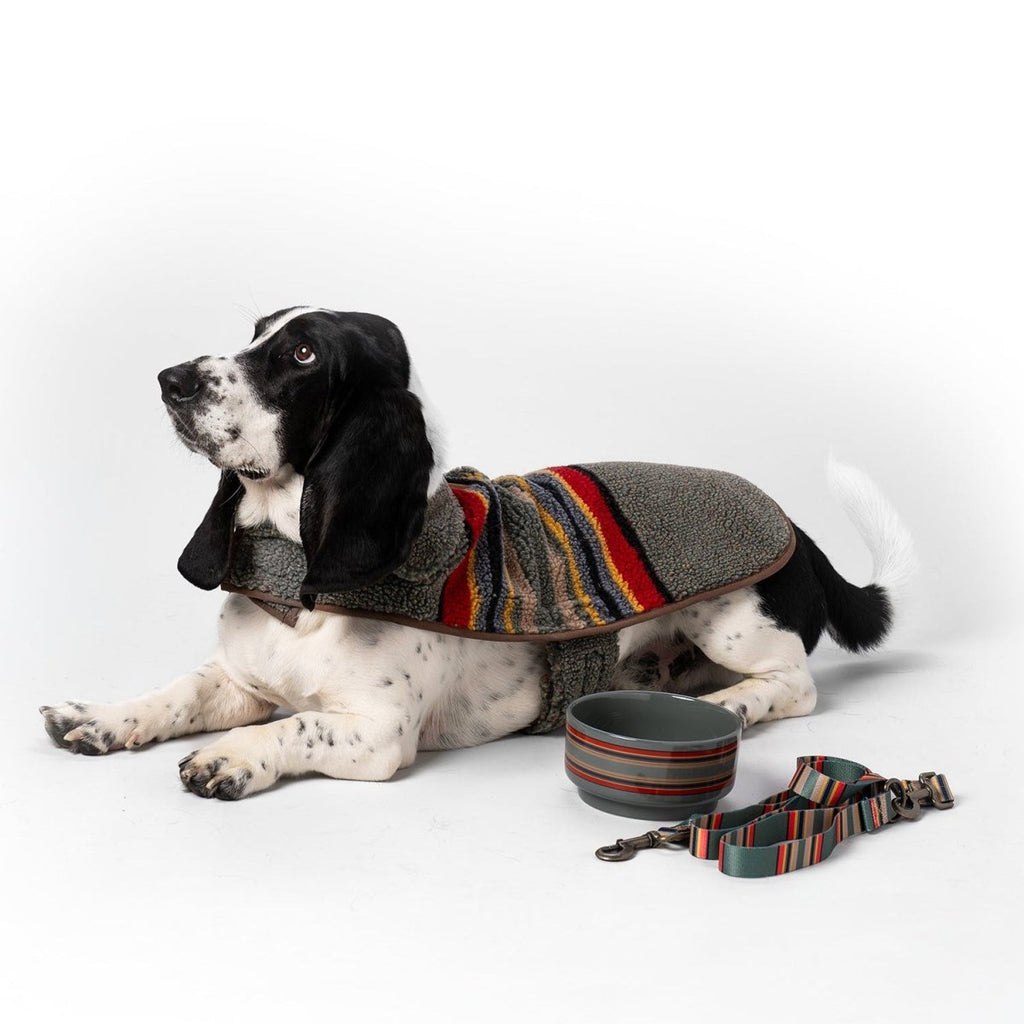 Pendleton Vintage Camp Bundle