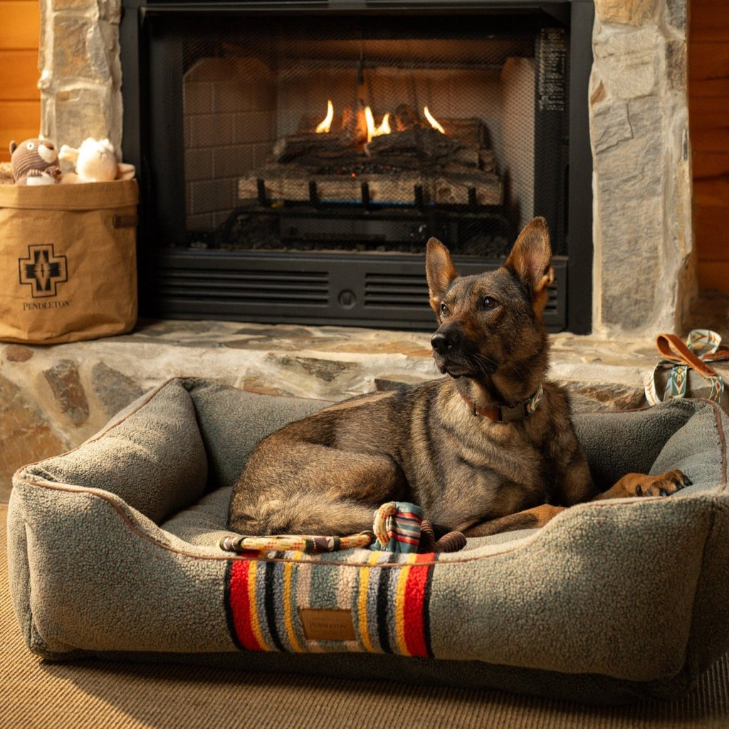 Pendleton Vintage Camp Bundle