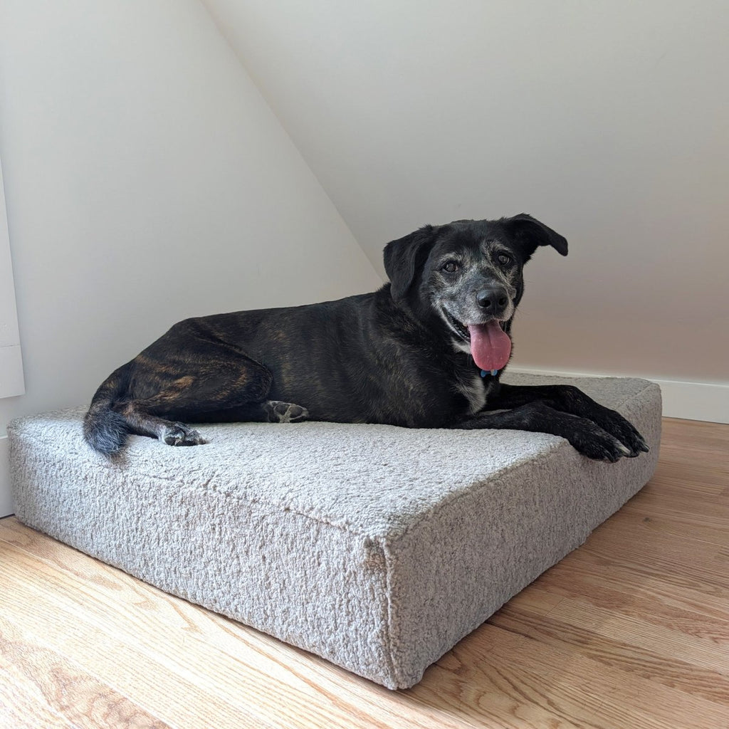 Renewed Orthopedic Foam Square Pet Bed