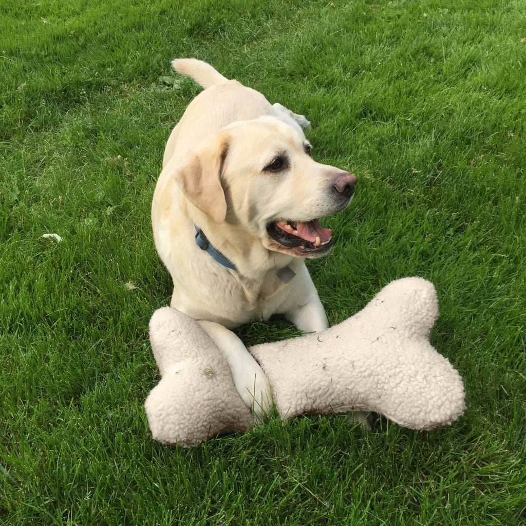 Sherpa Bone Pillow