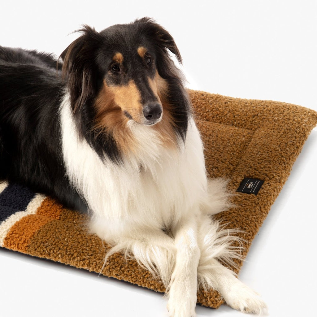 Shinola Brand Stripe Comfort Cushion Berber Dog Bed Rust