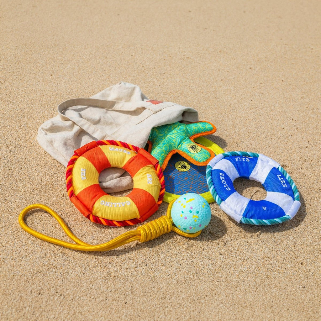 Sun & Sand Toy Bundle