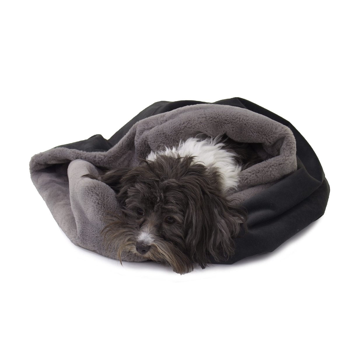 Transformer Converting Dog and Cat Bed